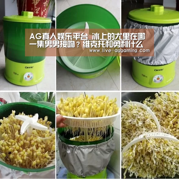 AG真人娱乐平台